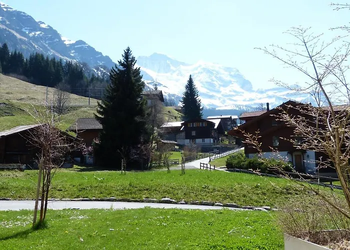 Brunner 2 Appartamento Wengen